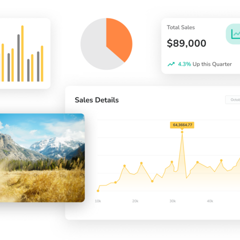 sales reporting software